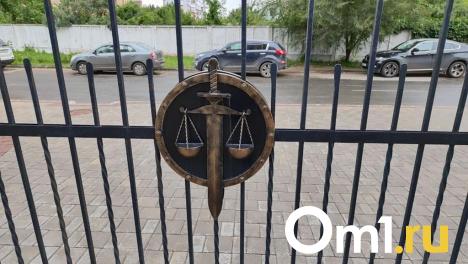 Ехала на санках: омский суд назначил водителю наказание за смертельное ДТП с ребёнком