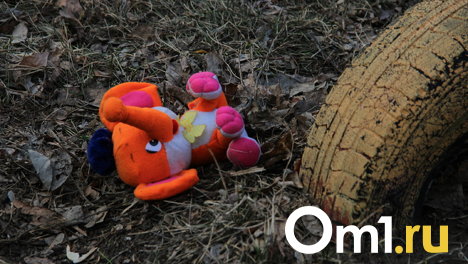 В Омске 9-летнюю дочь ветерана Чеченской войны отдали в приёмную семью на Алтай