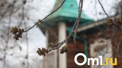 Омичей к концу недели ждут мощное потепление и дожди