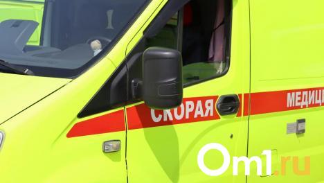 Под Омском автобус съехал в кювет, пострадали люди