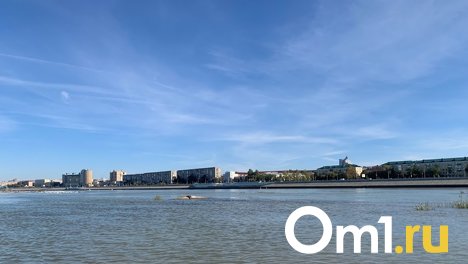Иртыш в Омске углубят и очистят от хлама