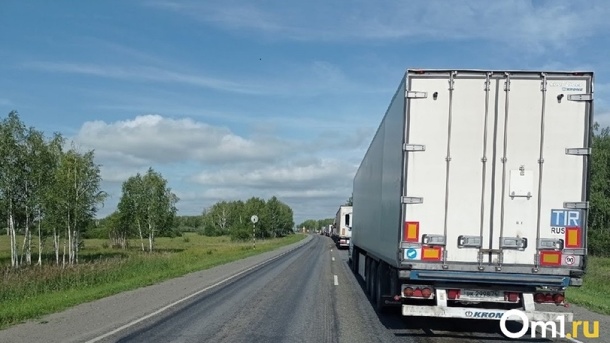 В Омскую область из-за границы ввезли две тонны перца, заражённого опасным вирусом