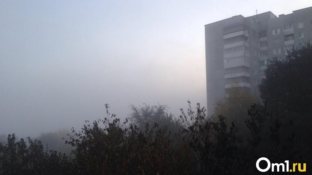 Смог, туман или выбросы: омичи пожаловались на витающую в воздухе белую пыль