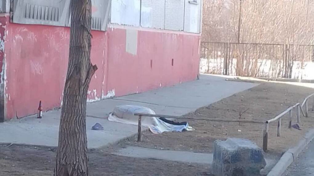 В Новосибирске нашли тело 64-летней женщины под окнами жилого дома