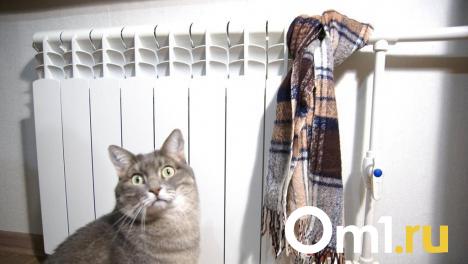 Пожилые омички взыскали с «Омск РТС» компенсацию за холод в квартирах зимой