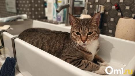 На весь день: завтра в Омске отключат водоснабжение у целого микрорайона