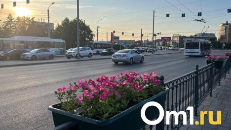 Компания из Омска, сорвавшая поставку саженцев, попала в черный список