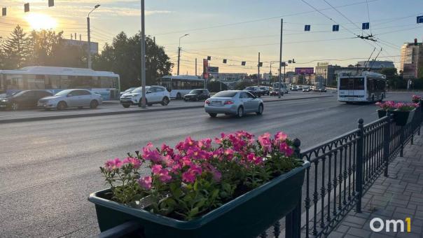 Компания из Омска, сорвавшая поставку саженцев, попала в черный список