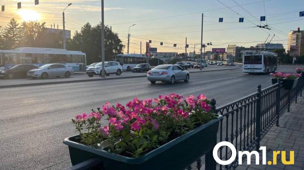 Компания из Омска, сорвавшая поставку саженцев, попала в черный список