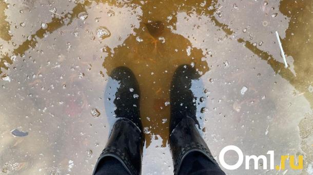 Подтопление в Таврическом районе: губернатор Хоценко прокомментировал ситуацию