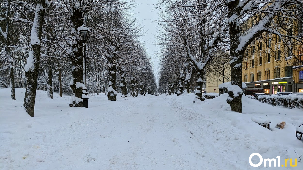Почему в Новосибирске выпало так много снега, объяснила главный метеоролог региона Анна Лапчик