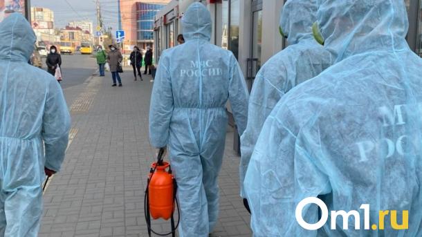 Марбургская лихорадка: новосибирский эпидемиолог Новосёлов рассказал про опасный смертельный вирус