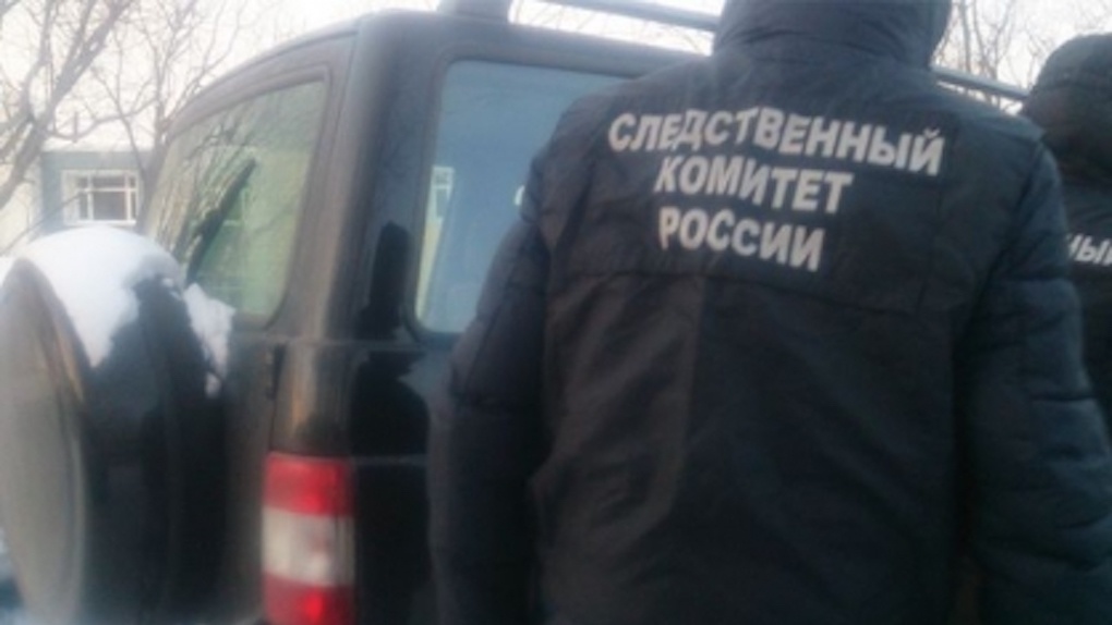 Новосибирский подросток избил полицейского на глазах у его коллег-правоохранителей