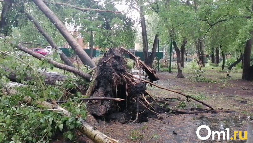 Изображение фоторепортажа