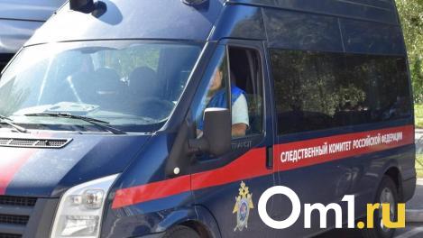 Бастрыкин поручил проверить факт нарушения прав сироты в Омской области