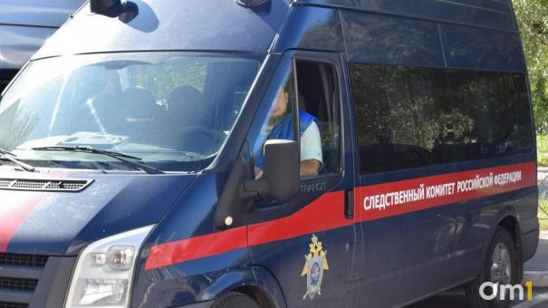 Бастрыкин поручил проверить факт нарушения прав сироты в Омской области