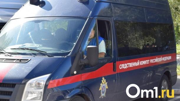 Бастрыкин поручил проверить факт нарушения прав сироты в Омской области