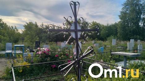 Перед Радоницей в Омске обработают кладбища от клещей