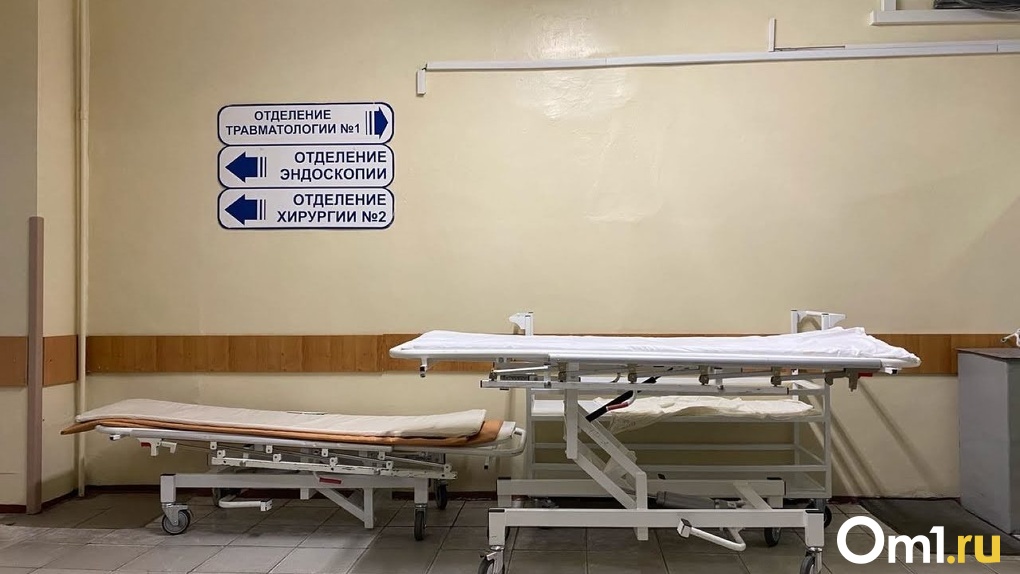 Эксперт назвал страны, из которых медицинские туристы приезжают в Новосибирск