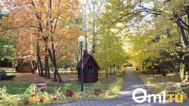 Омичам рассказали, какая погода будет в первые выходные сентября