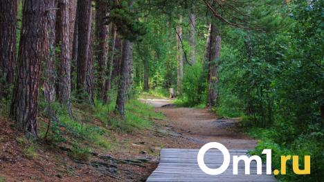 В омском Управлении по охране животного мира сменился руководитель