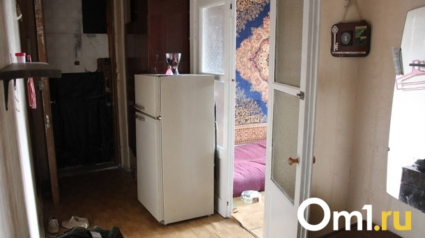 Сильная омичка в одиночку вытащила из дома соседки холодильник и стиральную машину