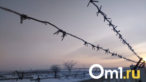 В Омске при загадочных обстоятельствах погибли трое молодых мужчин