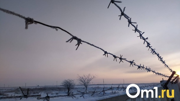 В Омске при загадочных обстоятельствах погибли трое молодых мужчин