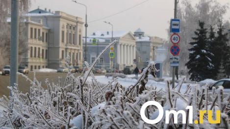 К Омску приближается самый мощный снежный циклон в России