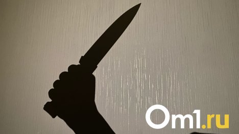 Познакомились в интернете: житель Новосибирска зарезал и ограбил 51-летнюю женщину