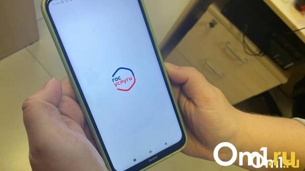 Мошенники придумали новую схему мошенничества с «Госуслугами» в Омске