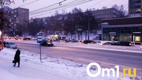 В Новосибирске с 11 декабря перенесут остановку «Улица Петропавловская»