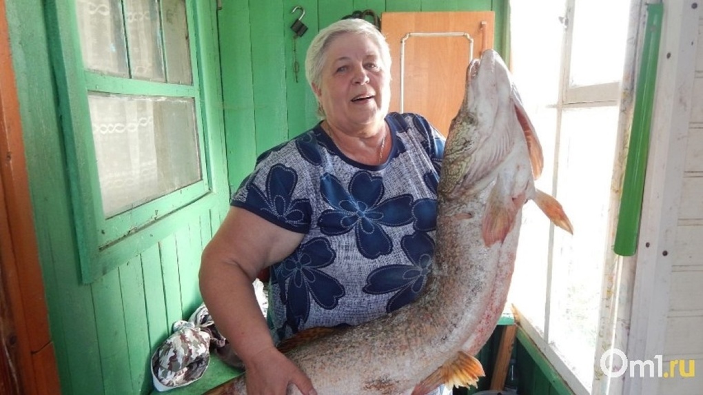 Рыбалка на реке Иртыш в Омске: места, снасти, советы