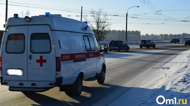 Школьника убило гирляндой в Новосибирской области