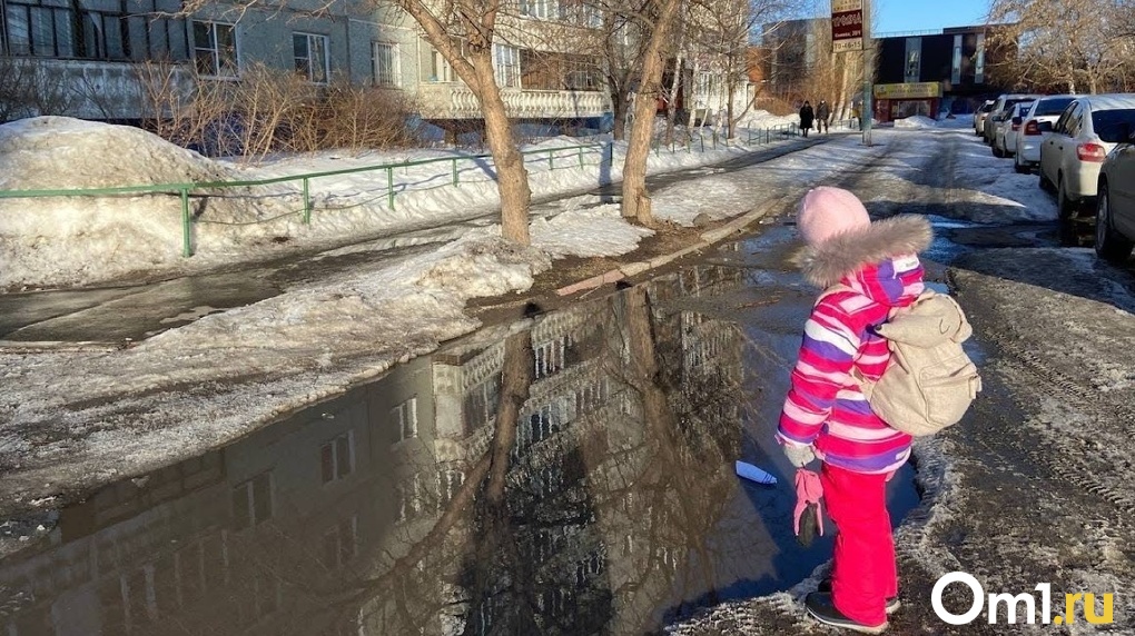 В Омске напали на 8-летнюю девочку, когда она возвращалась домой из школы