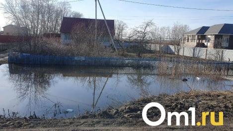 «Ни разу на моей памяти такого не было»: Павлоградский район топит талыми водами