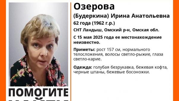 В Омской области пропала женщина в голубой безрукавке