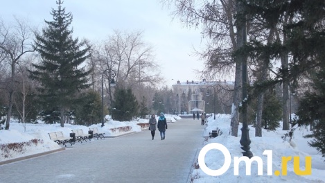 Мало праздников: омичи собираются продлить новогодние каникулы отпуском и отгулами
