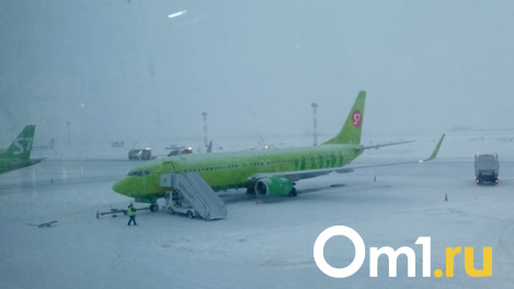 «Дыра в фюзеляже»: самолёт с множеством повреждений приземлился в Новосибирске