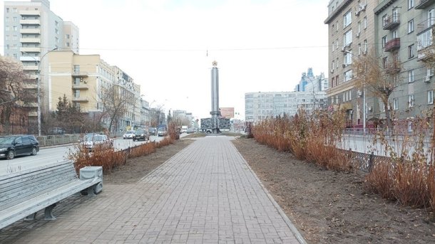 Вместо берёз: саженцы высадили на бульваре Красного проспекта в Новосибирске