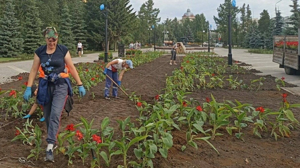 В Омске высадят более миллиона цветов