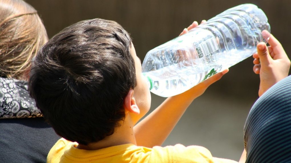Сколько литров воды в день нужно пить? Можно ли заменять другими напитками? Рассказала омский врач