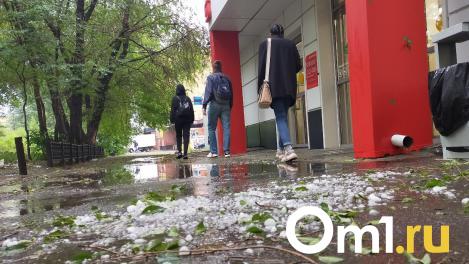 Шквалистый ветер и град: перед Днём Победы в Омске резко испортится погода