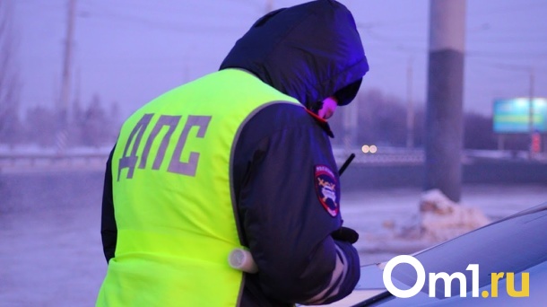 В Новосибирске автомобиль наехал на издательницу бизнес-журнала Status Любовь Яхомову