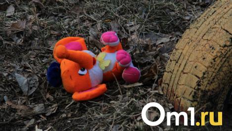 В Омске семья прятала ребёнка от органов опеки в погребе
