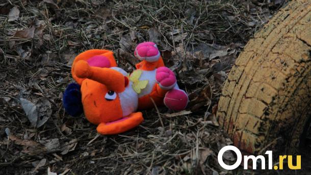 В Омске семья прятала ребёнка от органов опеки в погребе