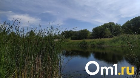 По поручению Бастрыкина возбуждено уголовное дело из-за обмеления озера под Омском