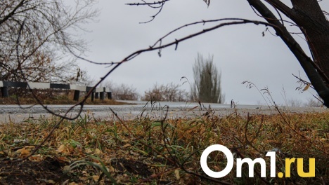 Стало известно, какие дороги отремонтируют в Омском районе в следующем году