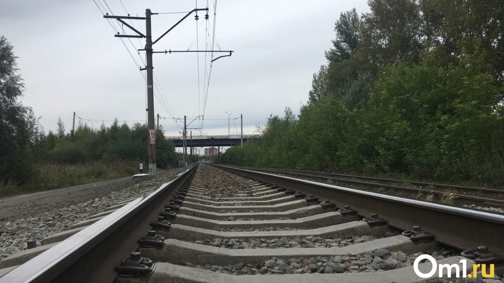 Грузовой поезд насмерть сбил мотоциклиста под Новосибирском