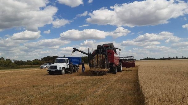 Хоценко поздравил омских агрономов с первым миллионом тонн зерна